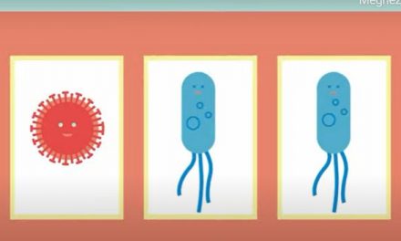 Jó fejek baktériumok és rosszindulatúak a vírusok? – nagy a különbség közöttük