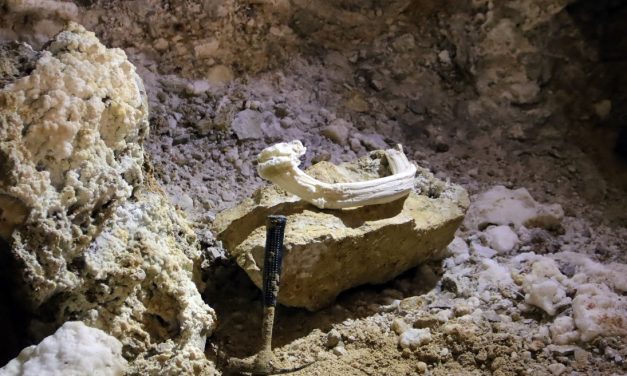 Visszakerült egy 50 centis kristálycsoda a Sátorkőpusztai-barlangba
